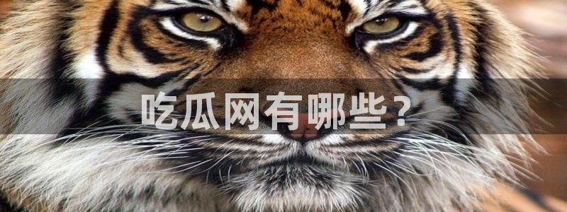 ccgg今日吃瓜:吃瓜网有哪些?